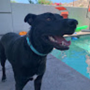 Meet your Posher, Maria